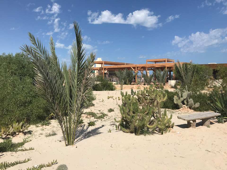 Gartenanlage Iberostar Waves Mehari Djerba