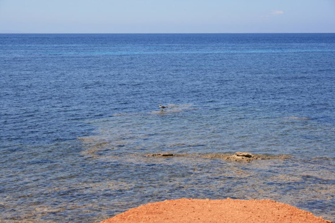Ausblick am Strand TUI MAGIC LIFE Cala Pada