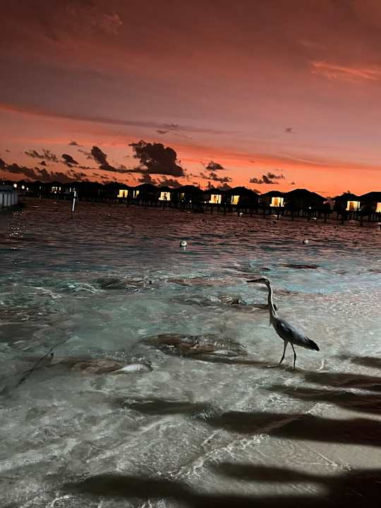 Strand Villa Park Sun Island
