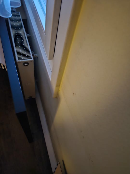 Zimmer TRYP by Wyndham Halle