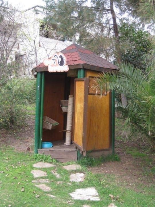 Katzenhäuschen im Hotel Paloma Pasha