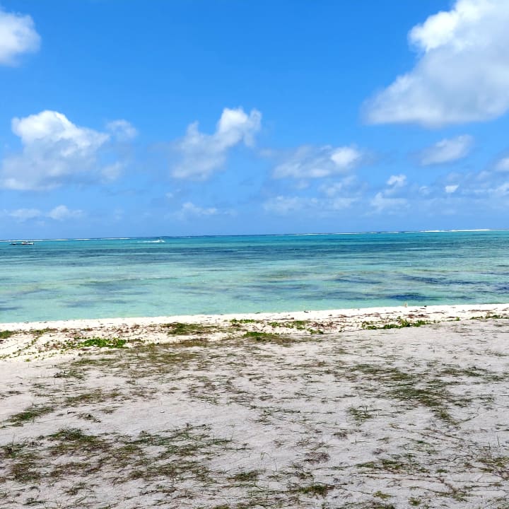 Strand Tropical Attitude - Adults only