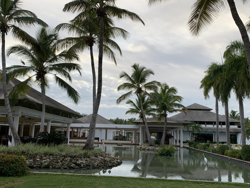 Außenansicht Catalonia Punta Cana - All Inclusive