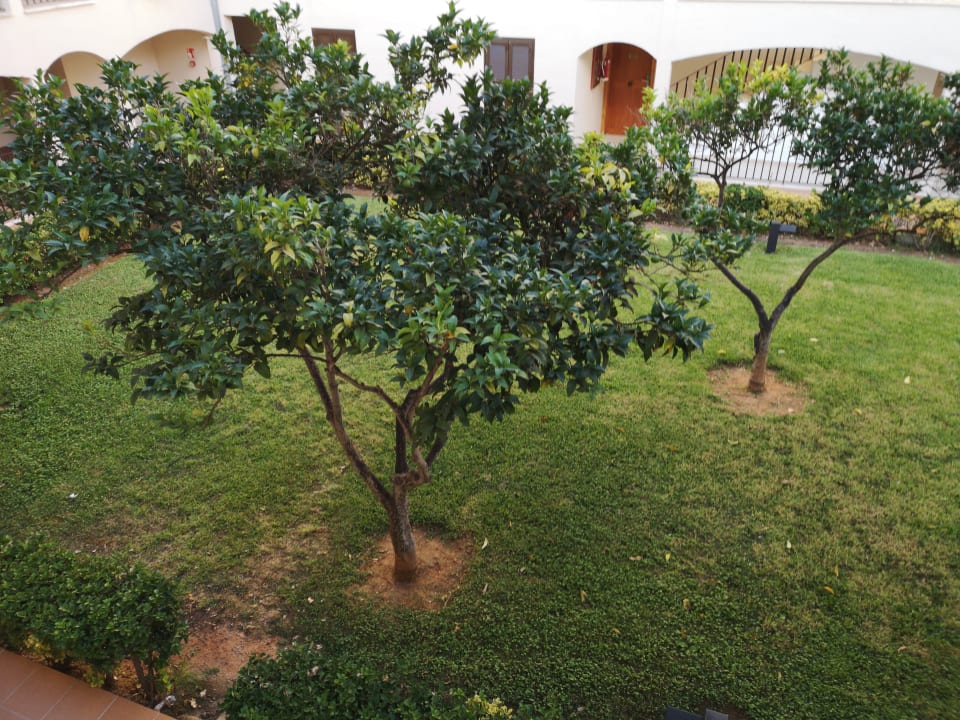 Gartenanlage Protur Floriana Resort Aparthotel