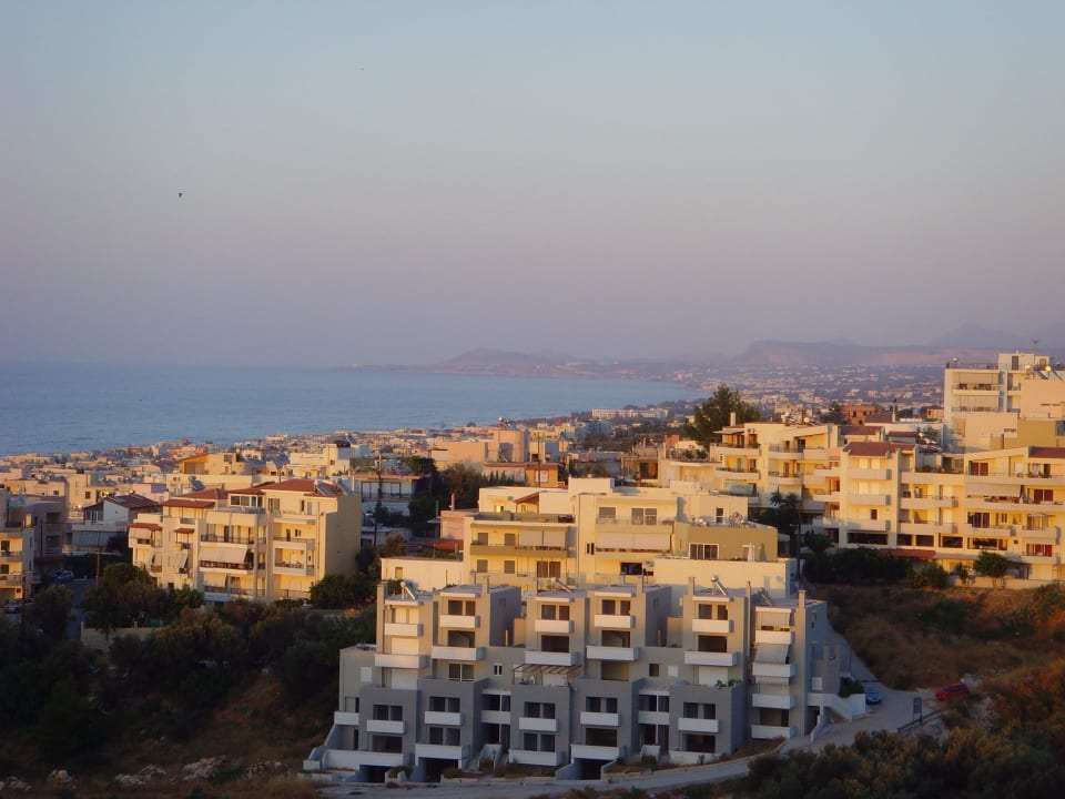 Ausblick vom Zimmer Hotel Forest Park