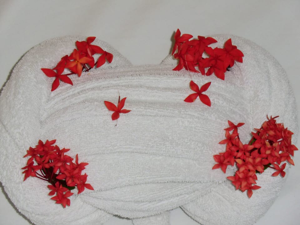 Handtuchdeko Bahia Principe Grand El Portillo