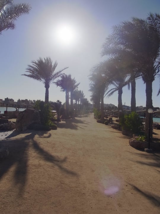 Marina  Arabia Azur Resort