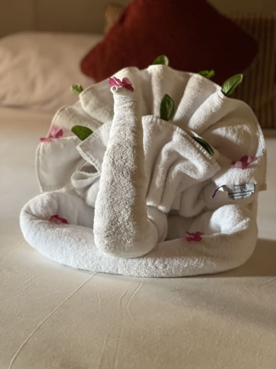 Zimmer Jaz Makadi Oasis Resort