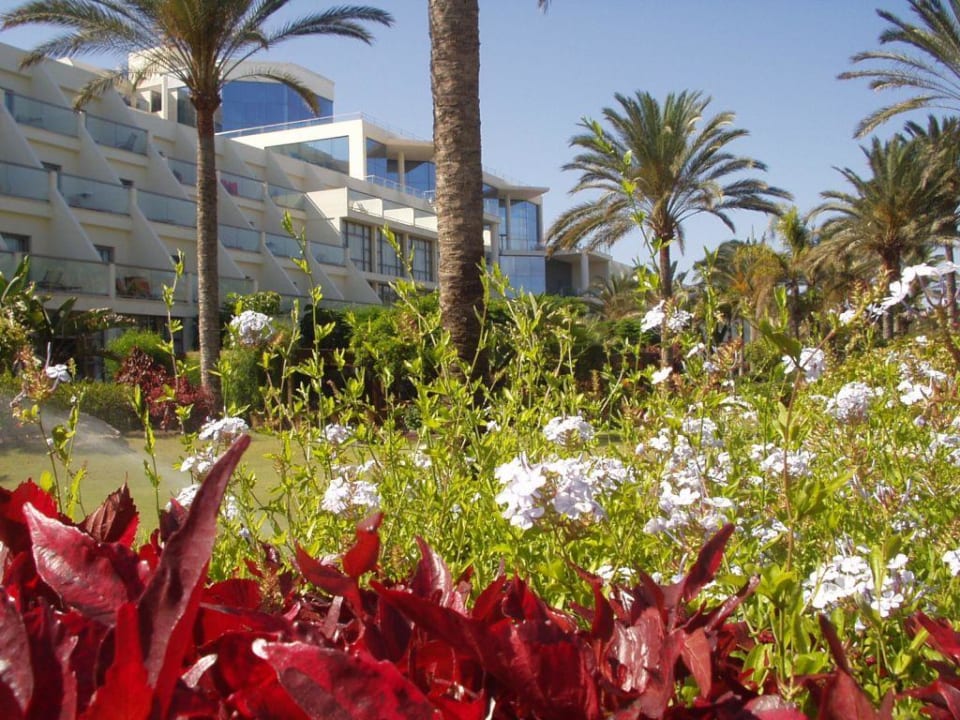 Hotel  Costa Calma Palace SBH Hotel Costa Calma Palace