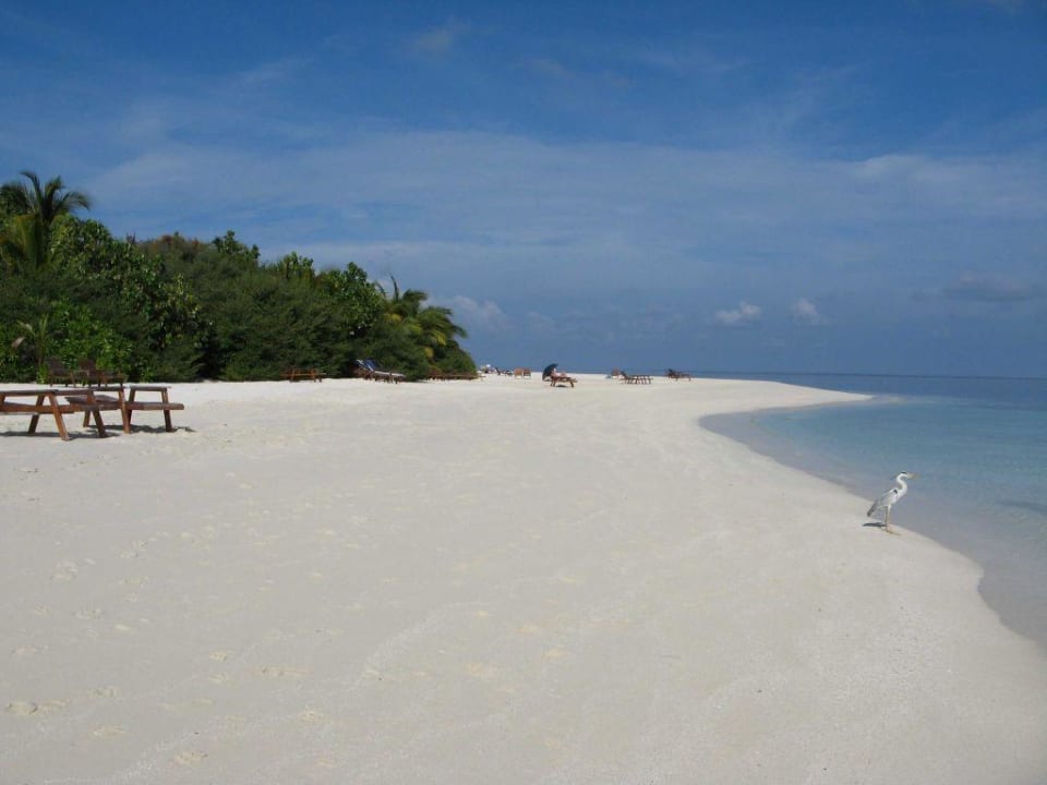 Strandabschnitt Nord Eri Maldives