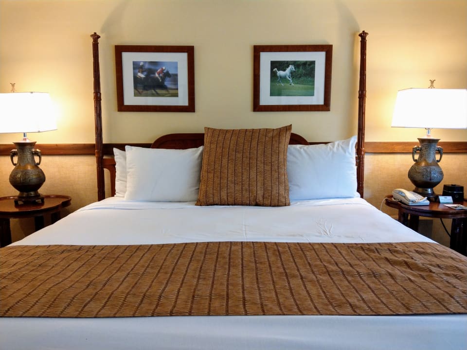 Zimmer Hotel The Equus