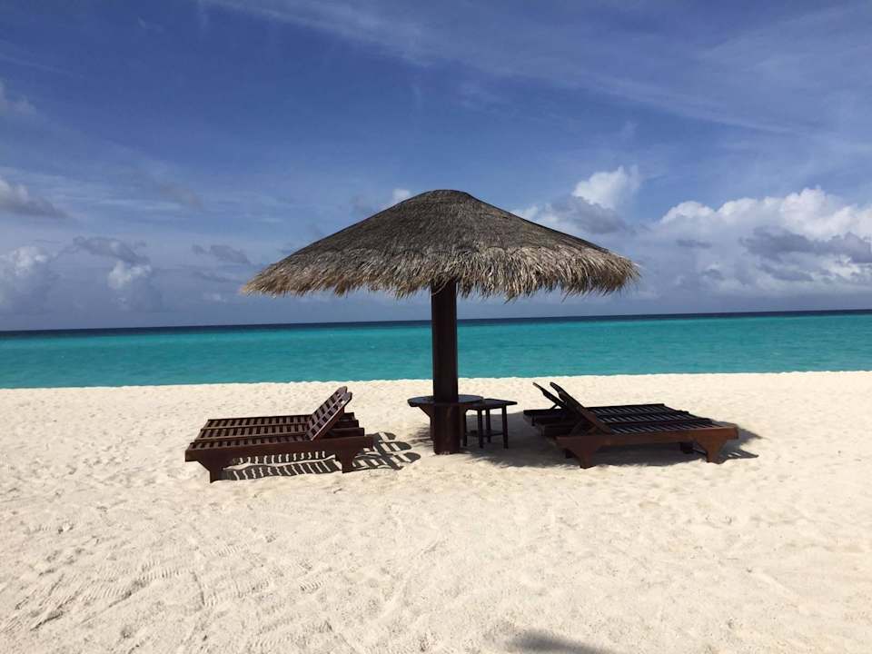 Liegen an der Sandbank Palm Beach Resort & Spa Maldives