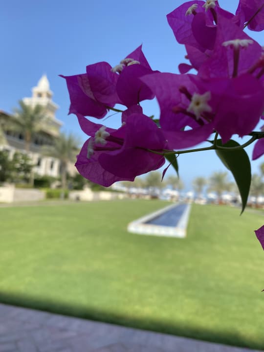 Ausblick Rixos Premium Saadiyat Island