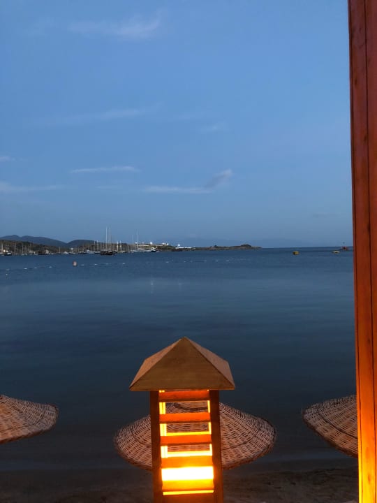 Gartenanlage Costa Luvi Hotel