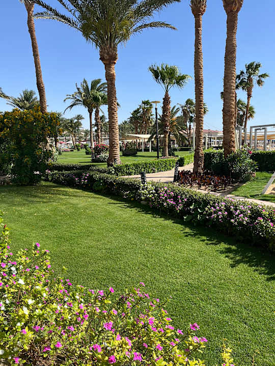 Gartenanlage Amarina Abu Soma Resort & Aquapark