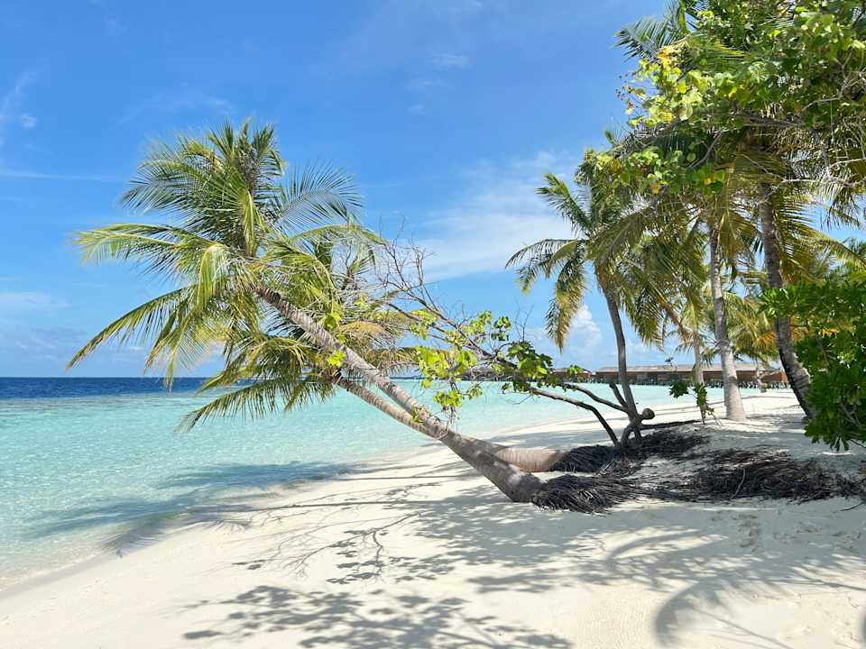 Strand Vilamendhoo Island Resort & Spa