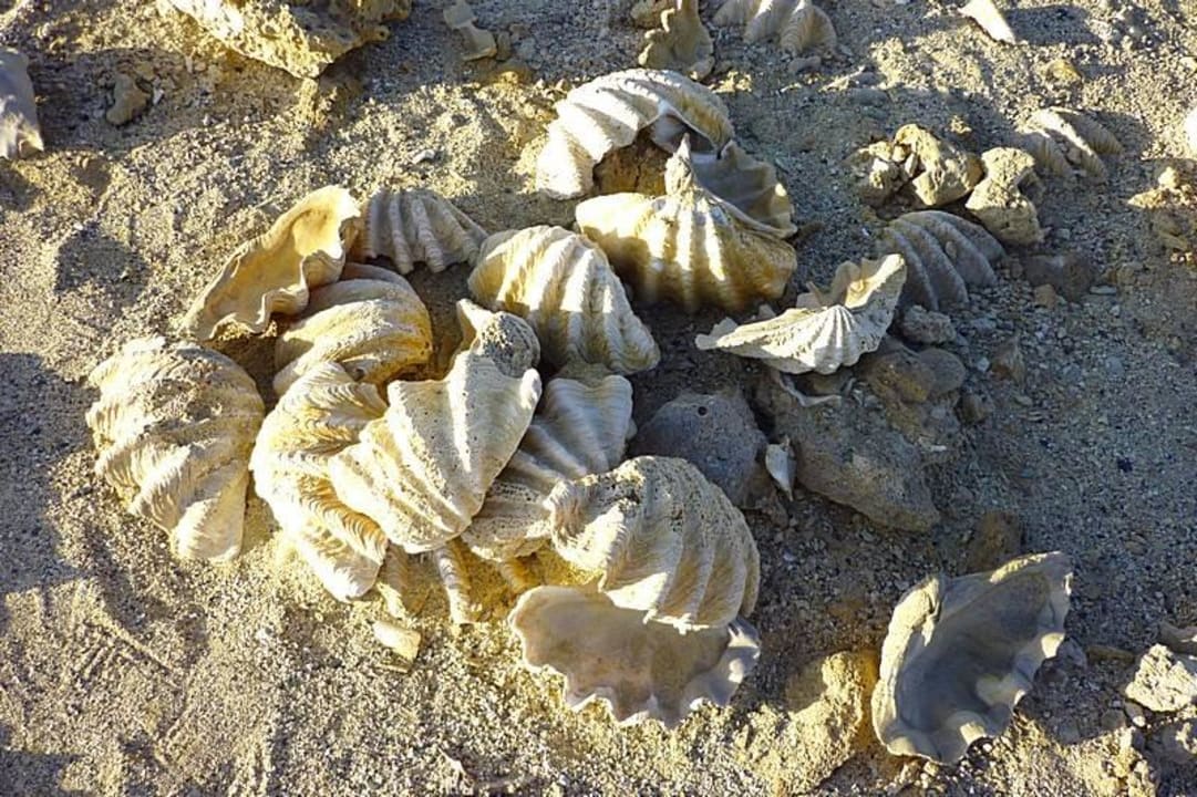 Spacer Three Corners Happy Life Beach Resort