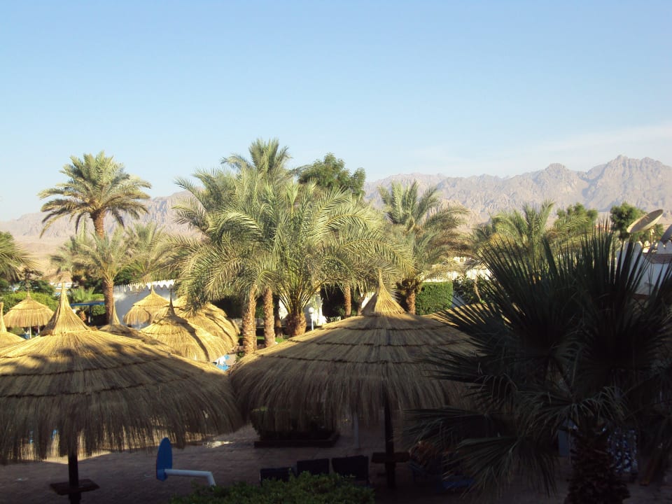 Widok z pokoju Albatros Sharm Resort