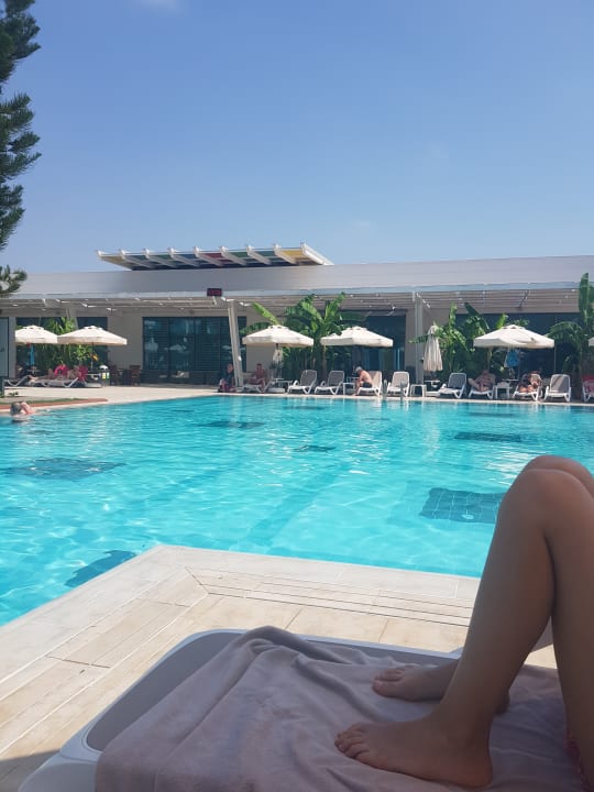 Pool Side Star Elegance