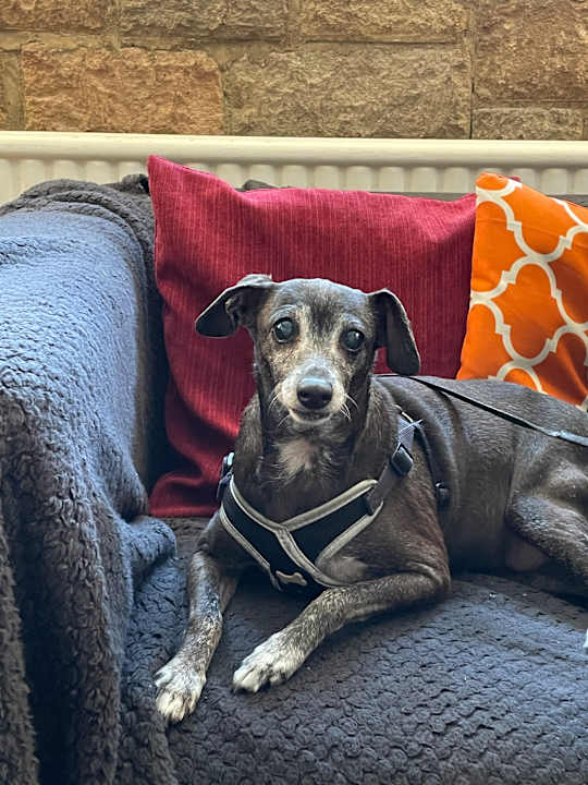 Sonstiges The Old Pound Inn