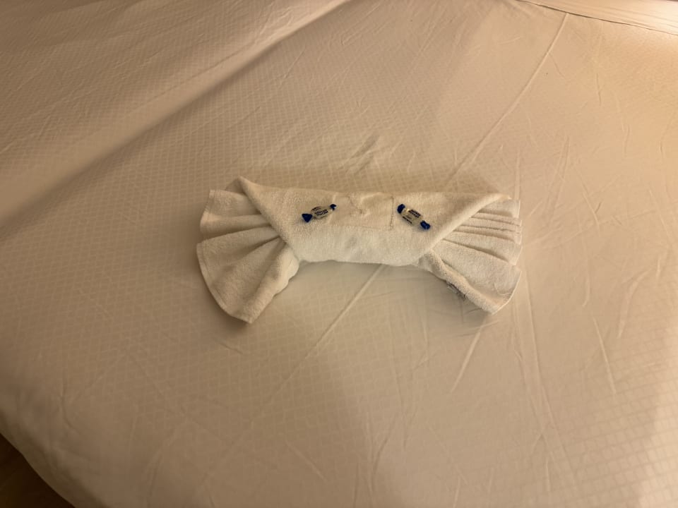 Zimmer Hipotels Mediterraneo Club