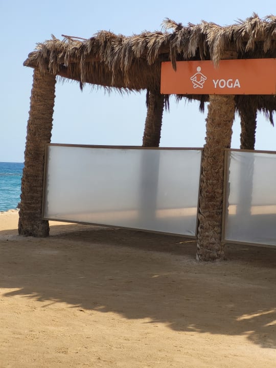 Sport & Freizeit Desert Rose