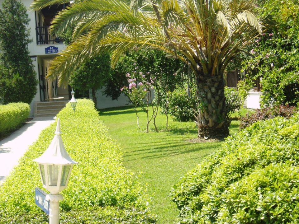 Ogród Hotel Club Nena