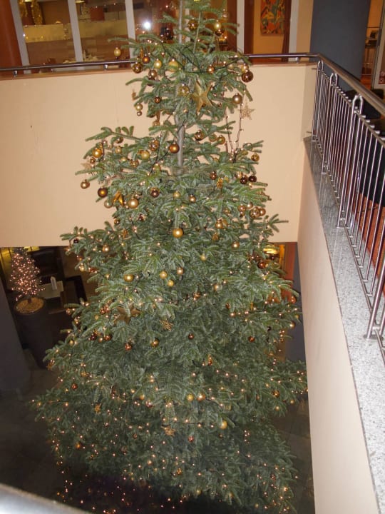 Weihnachtsdeko Dorint Hotel Dresden