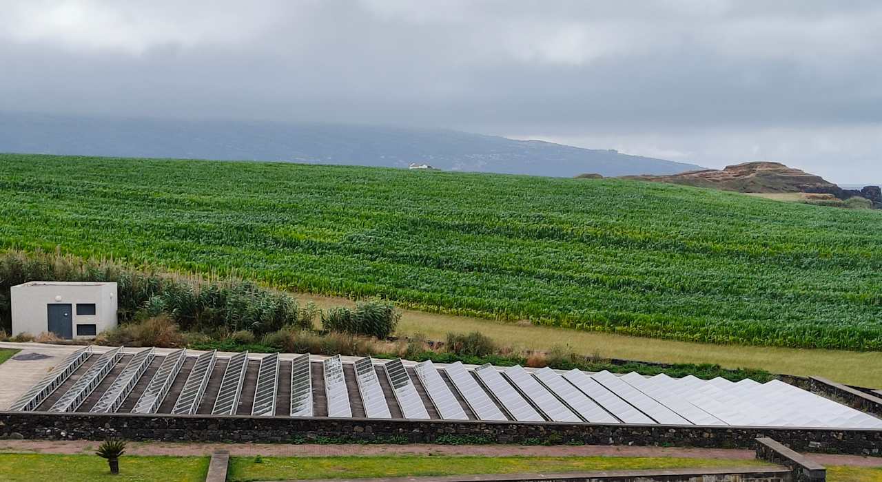 Sonstiges Pedras do Mar Resort & Spa