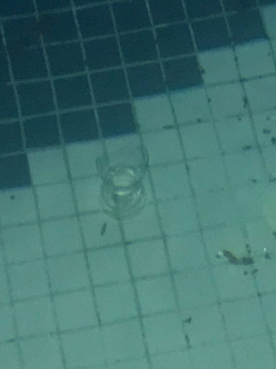 Pool Crystal Admiral