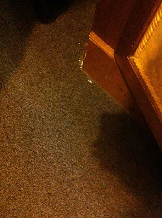 Dreckiger Zimmerteppich Hotel Quisisana