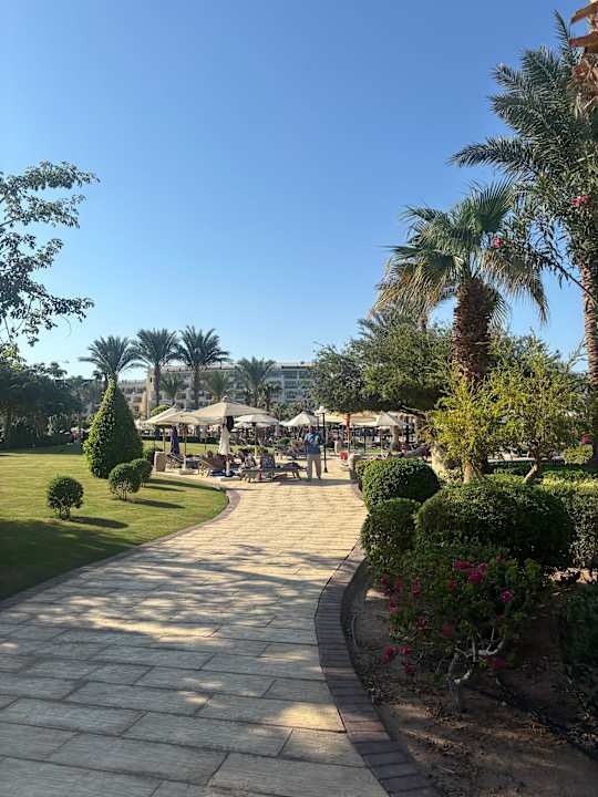 Gartenanlage Steigenberger ALDAU Beach Hotel