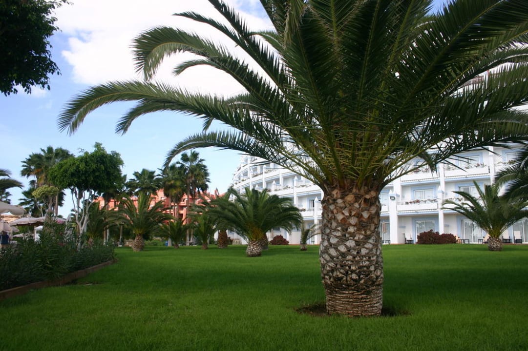 Gartenanlage Hotel Riu Palace Tenerife
