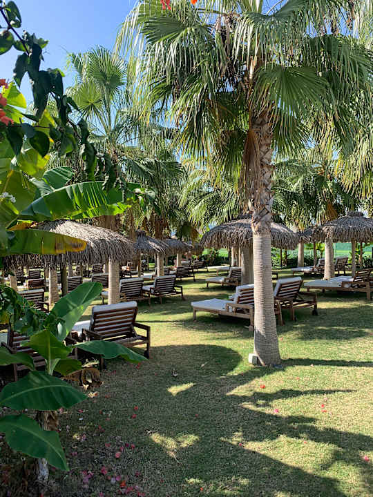 Gartenanlage Rubi Platinum Sign