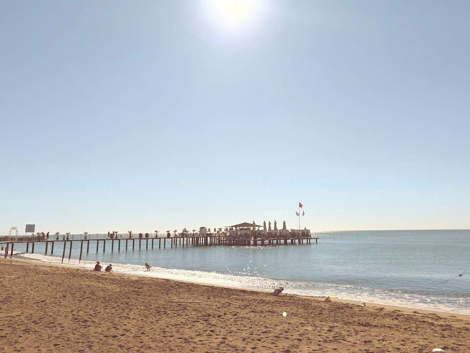 Strand Delphin BE Grand