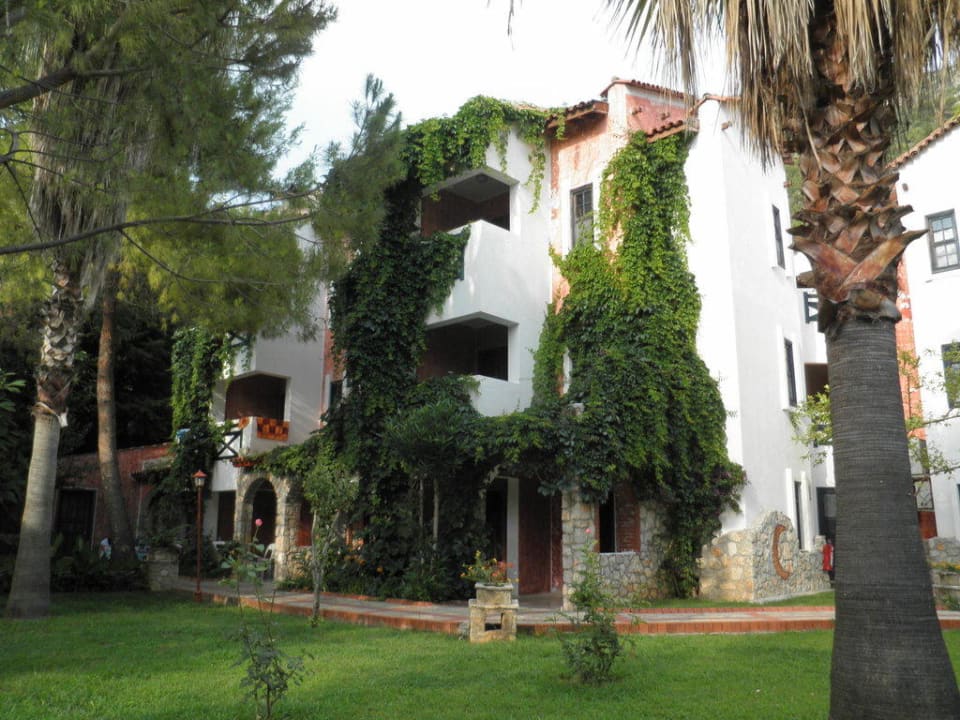 Ogród Ölüdeniz Beach Resort by Z Hotels