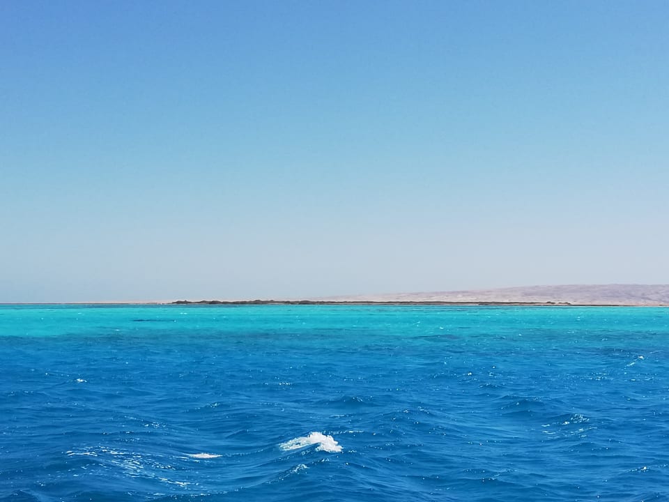 Ausblick Desert Rose