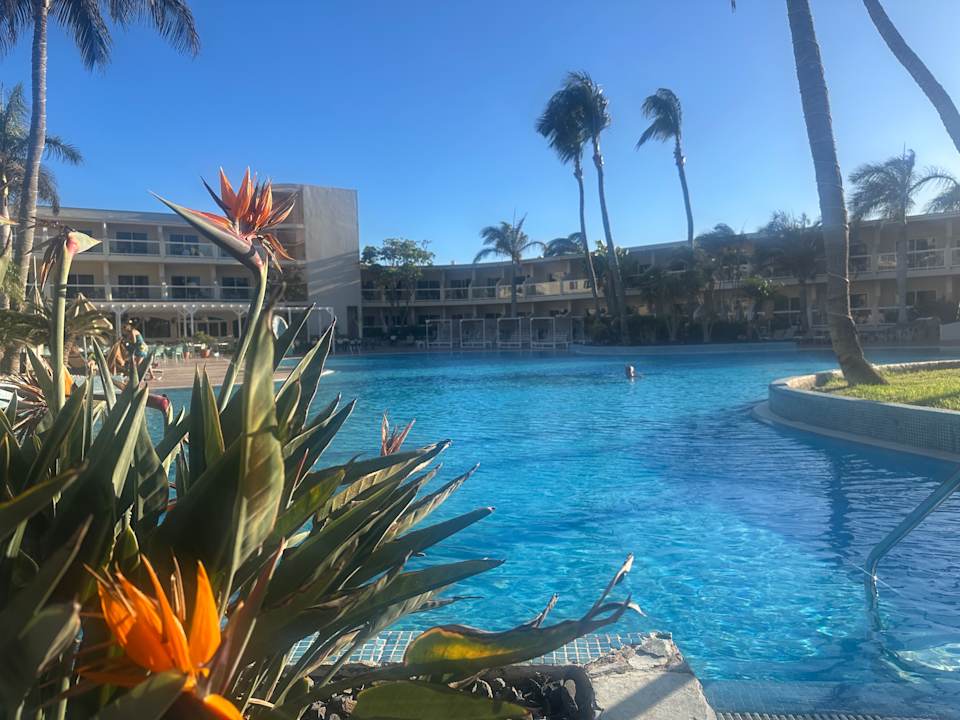 Pool Club Hotel Drago Park