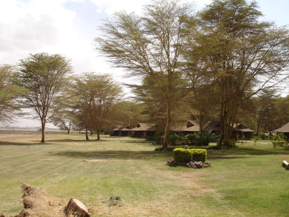 weitläufiges Lodgegelände Ol Tukai Lodge
