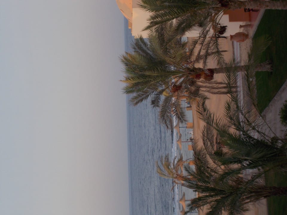 Seitlicher Meerblick vom Balkon Three Corners Sea Beach Resort