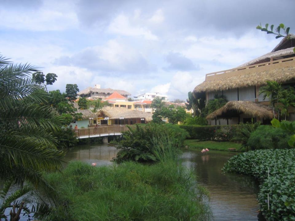 Gartenanlage Hotel Viva Dominicus Palace by Wyndham-All Inclusive Resort
