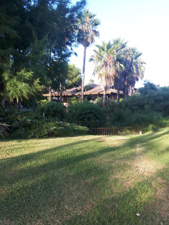 Gartenanlage PortBlue Club Pollentia Resort & Spa