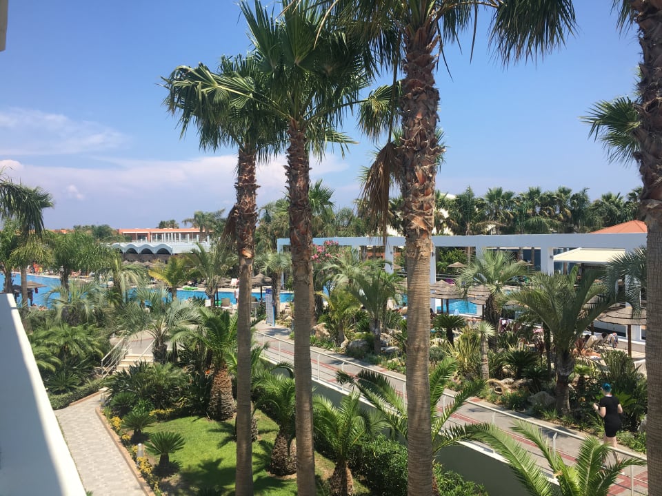 Zimmer Blue Lagoon Resort