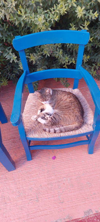 Sonstiges Anissa Beach & Village