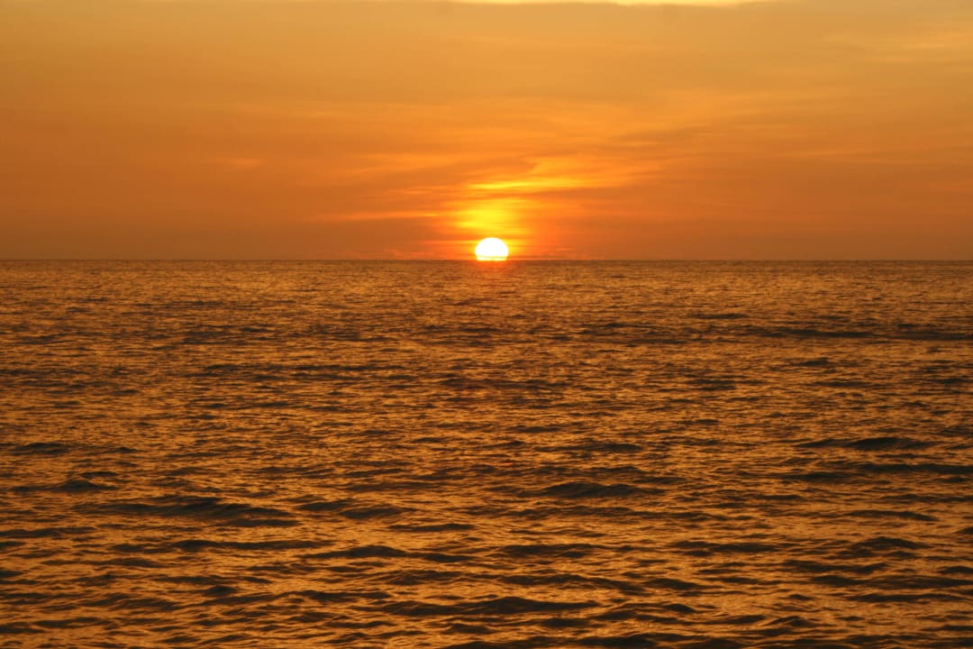 Meer Club Hotel Dolphin