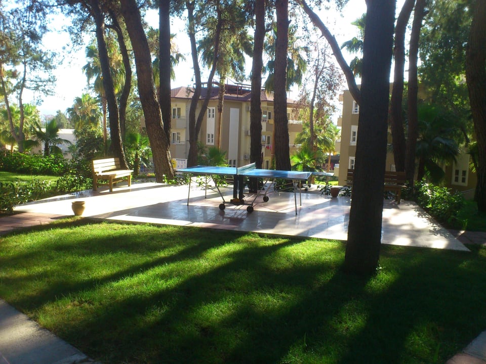 Tischtennis unter Palmen Club Sidelya Hotel