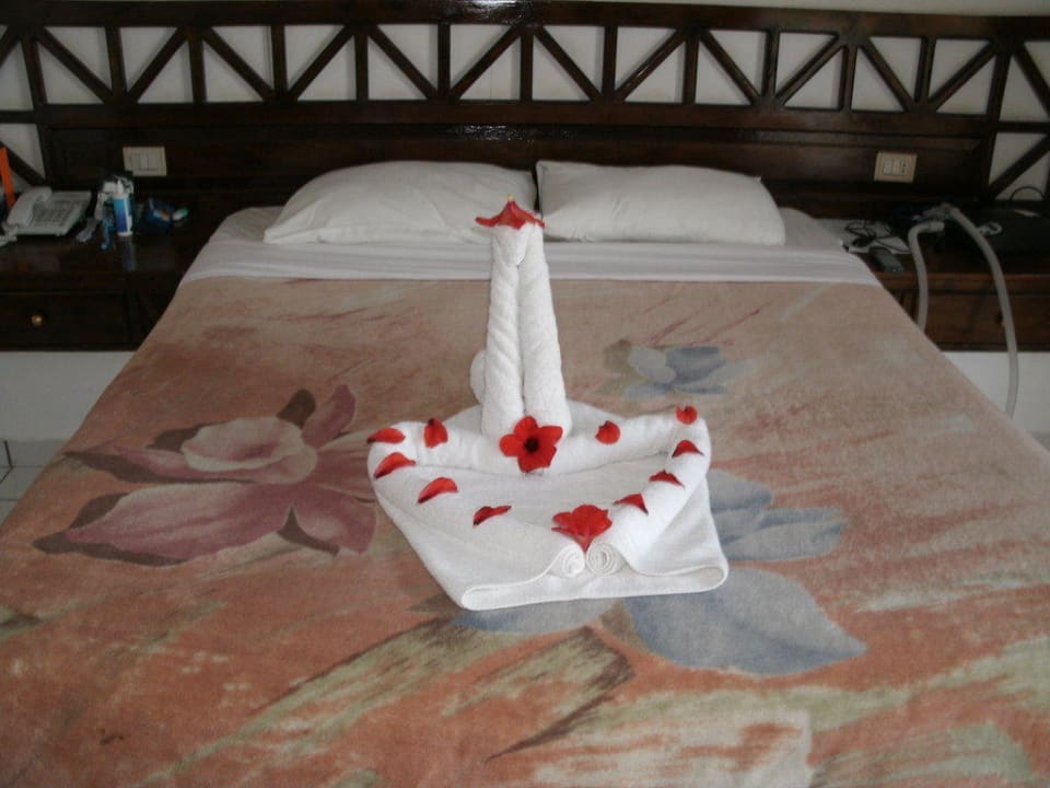 Immer wieder lustige Motive Utopia Beach Club