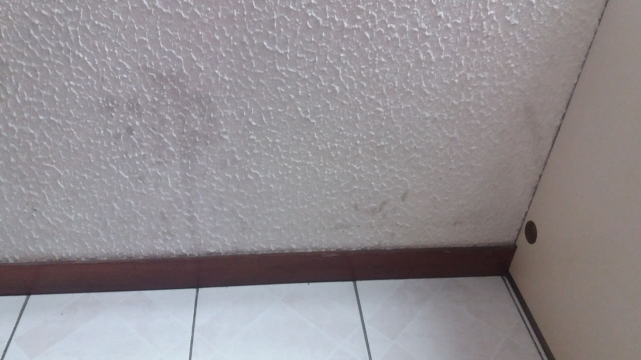 Zimmer Hotel Camelia Residence