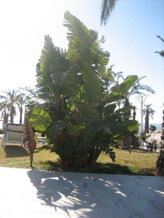Anlage Sunis Kumköy Beach Resort Hotel & Spa