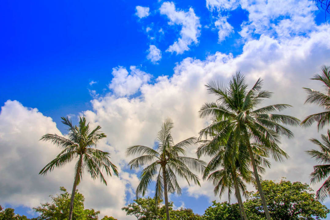 Fair House Beach Ressort The Fair House Beach Resort